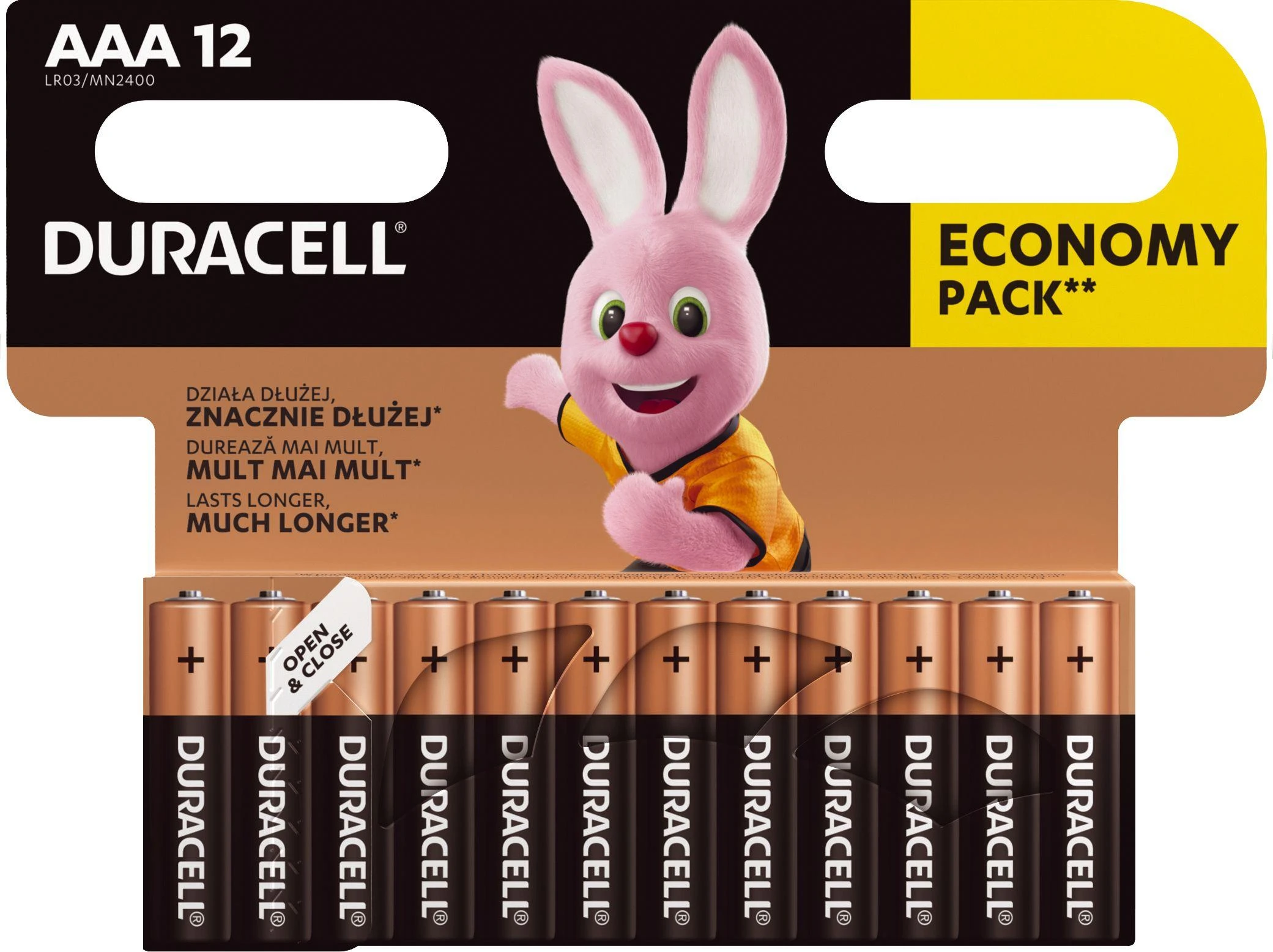 Duracell 5000394203389 buitinė baterija Vienkartinė baterija AAA Šarminis