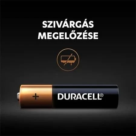 BATTERIES DURACELL AAA 10 VNT