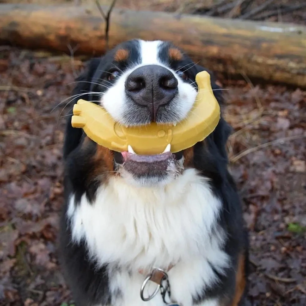 Duvo+ GARDEN BITES FRUITY FRIENDS ''S'' 7cm 60 vnt. (demonstracinėje pakuotėje yra 60 vnt. x 3)