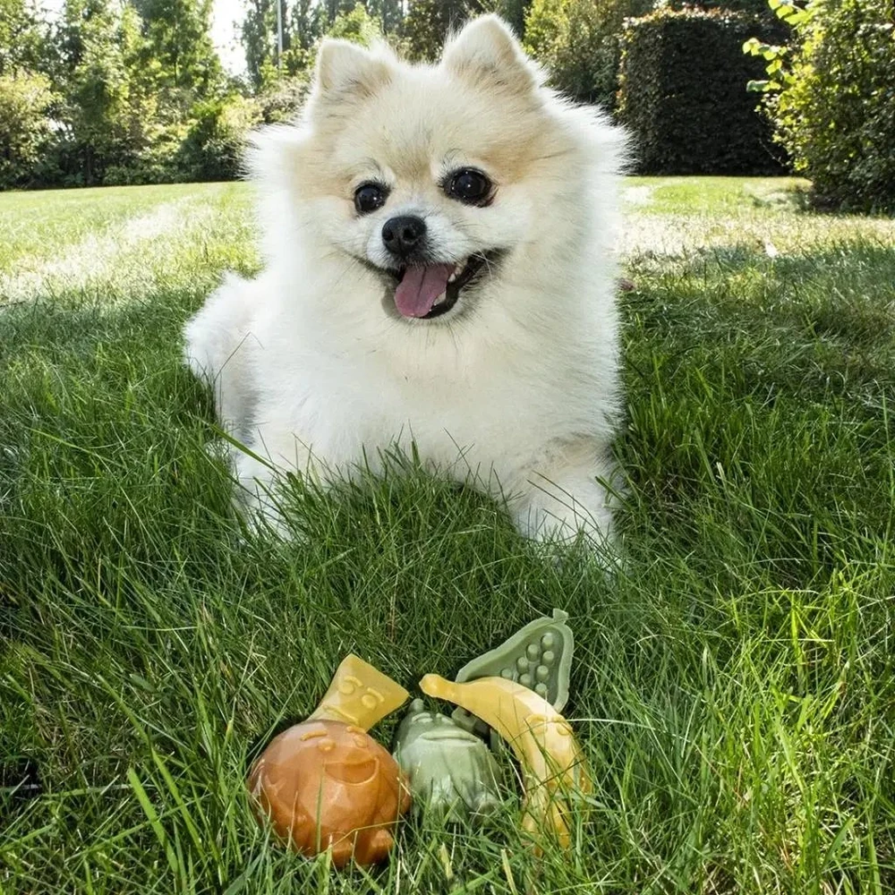 Duvo+ GARDEN BITES FRUITY FRIENDS ''S'' 7cm 60 vnt. (demonstracinėje pakuotėje yra 60 vnt. x 3)