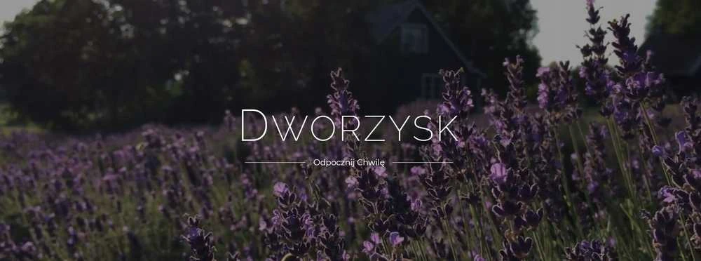 Dworzysk - Laba diena - Biri arbata 100g - Užpildymas