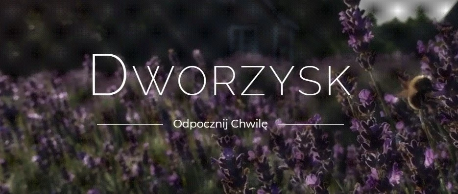 Dworzysk - Laba diena - Biri arbata 50g