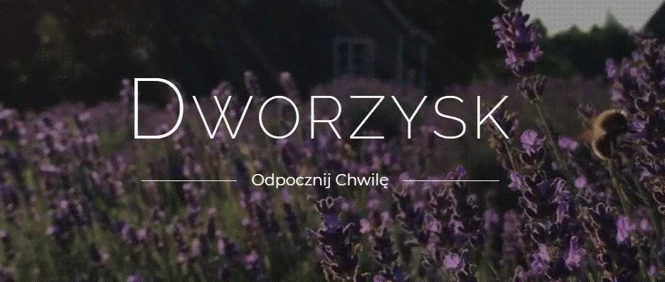 Dworzysk - Dvasinės pievos - Biri arbata 40g