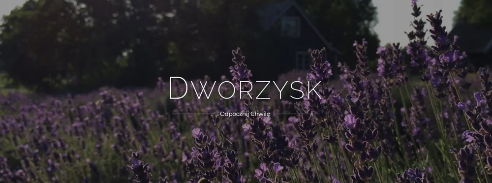 Dworzysk – Jūsų sveikatai – Biri arbata 100 g – Papildymas