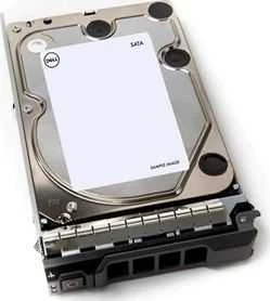 „Dell“ serverio diskas 12 TB 3,5 colio SATA III (6 Gb/s) (400-AUWK)