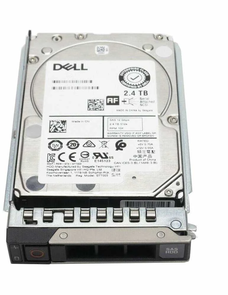 DELL 161-BCFV 2,4 TB 10 000 aps./min. 2,5 col. SAS standartinis diskas