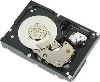 „Dell“ 2 TB 3,5 colio SATA III (6 Gb/s) serverio diskas (161-BCBC)