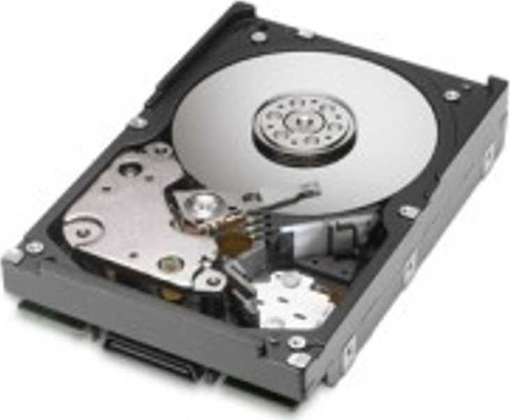 HP 3 TB 3,5 colio SATA II (3 Gb/s) serverio diskas (628063-B21)
