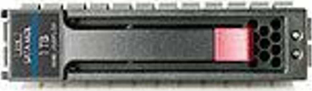 Hewlett Packard (HP) HP 3 TB 3,5 colio SATA III (6 Gb/s) serverio diskas (628061-B21)