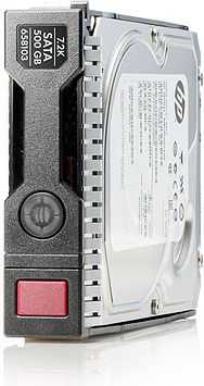 HP 500 GB 3,5 colio SATA III (6 Gb/s) serverio diskas (658071B21)