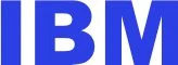 IBM 600 GB 2,5 colio SAS-2 (6 Gb/s) serverio diskas (A2XD)
