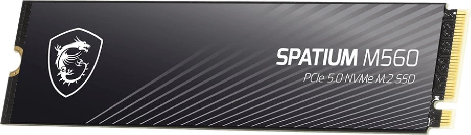 MSI Space M560 Pro M.2 Pcie 5.0 NVMe 1TB