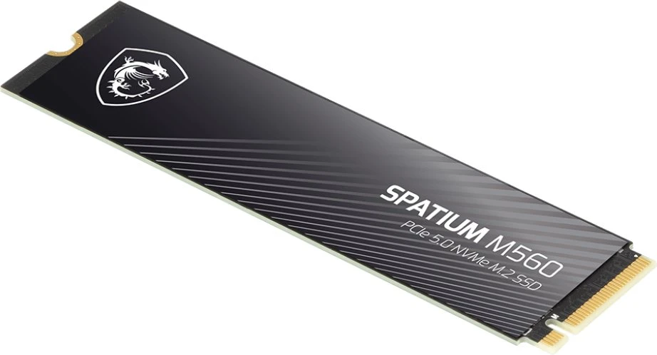 MSI Space M560 Pro M.2 Pcie 5.0 NVMe 1TB