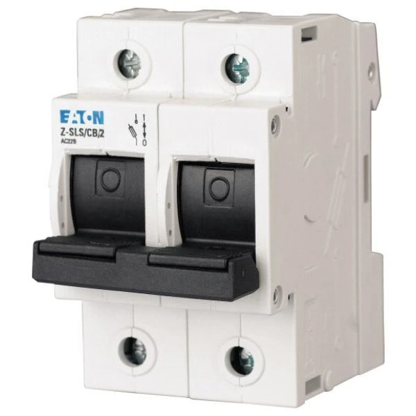 Eaton Z- SLS / CB / 2P 63A D02 248248 saugiklių atjungiklis