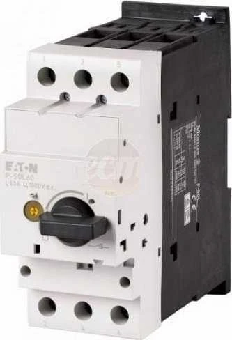 Eaton Switch skyriklis fotovoltiniam montavimui 2P 60A DC P-SOL60 120936