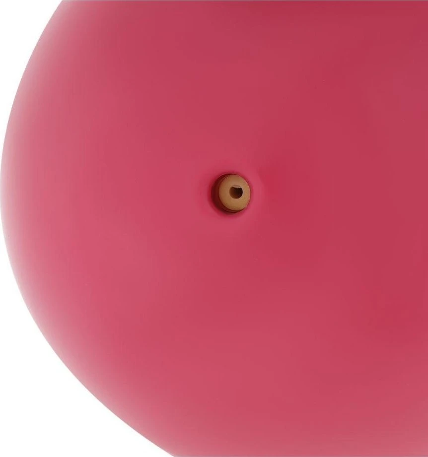 Enero Sviedržiedis su 0,5kg svoriu