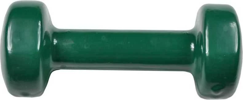 Vinilinė hantelė 1,5kg Enero Fit
