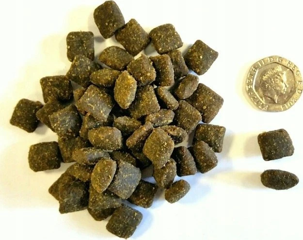 EDEN Semi-Moist lašiša & Quail - semi-moist dog food - 10kg