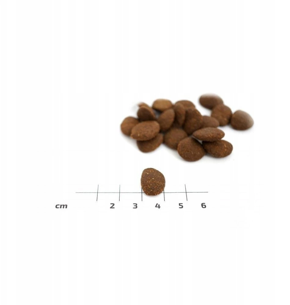 EDEN 80/20 žuvis Cuisine Medium & Large – sausas Maistas šunims – 2kg