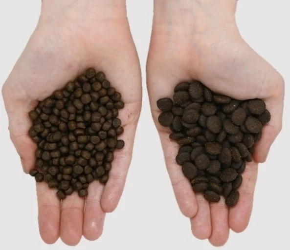 EDEN 80/20 žuvis Cuisine Medium & Large – sausas Maistas šunims – 2kg