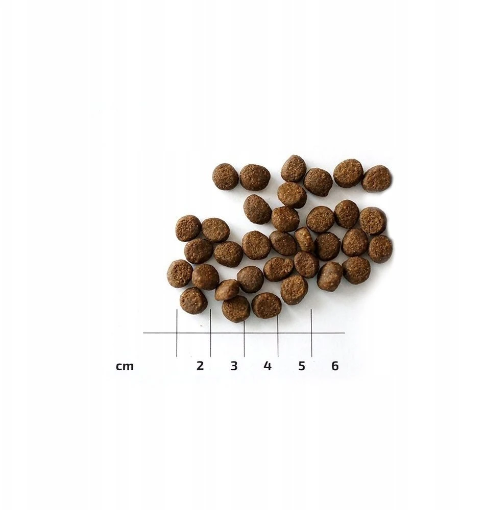 EDEN Cuisine 80/20 žuvis Small breeds – sausas Maistas šunims – 2kg