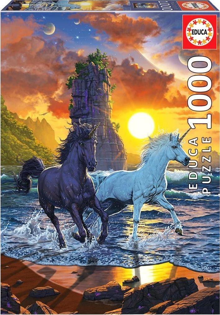 Educa Dėlionė (puzzle) 1000 VEINARAGIAI PAPLŪDYMYJE 12-99 metų