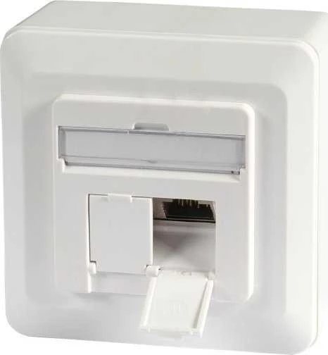 Efb Elektronik EFB EFB duomenų lizdas Cat6a 500MHz BALTA viršuje apačioje paviršinio montavimo 2xRJ45 RAL9010 EA klasė 10Gbit 40 laipsnių lizdas su 6,3 mm įžeminimo antgaliu