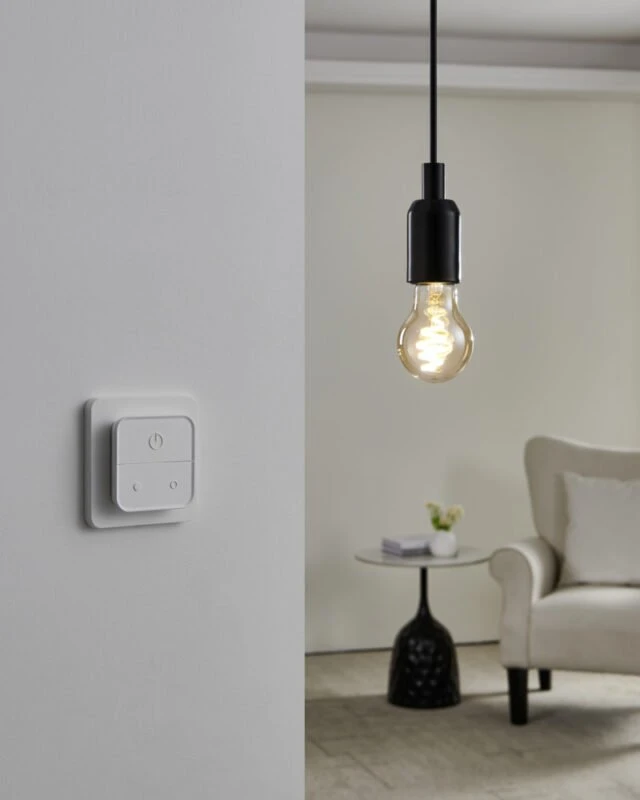 EGLO CONNECT-Z E27 kaitrinės išmaniosios lemputės – 2 vnt. pakuotėje su jungikliu
