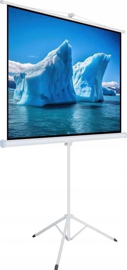 Art MENINIS VADOVAS EKRANAS ANT A su stovu 120 colių 183x244cm TA-120 4:3