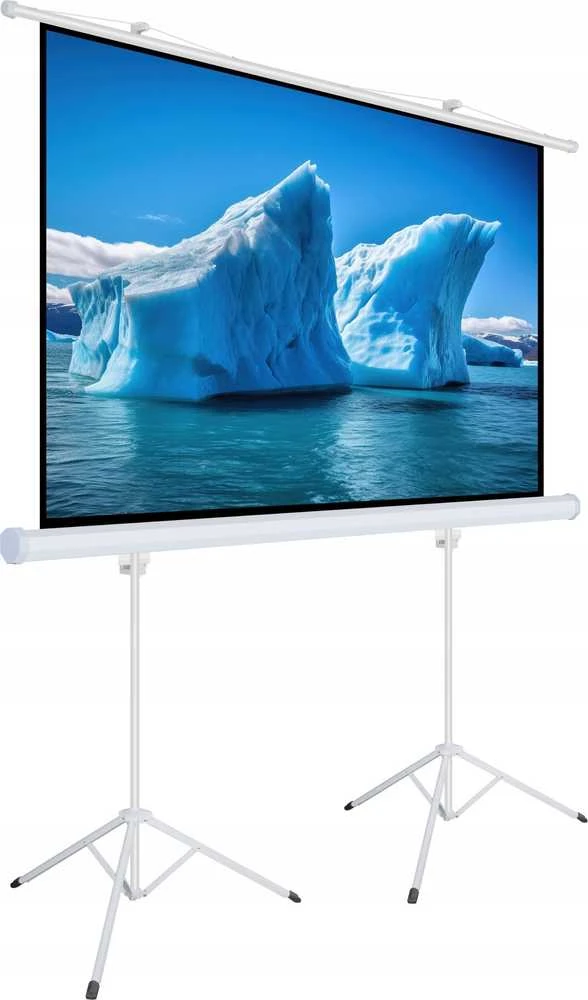 Art MENINĖS VADOVAS EKRANAS ANT A su stovu 140 colių 254x254cm TA-140 1:1 dvigubos viryklės