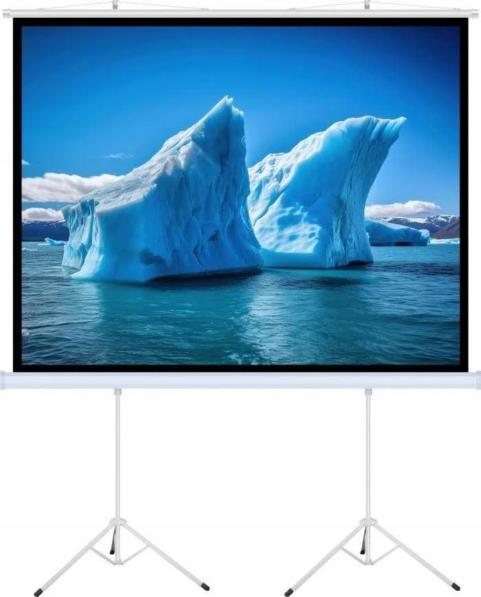 Art MENINĖS VADOVAS EKRANAS ANT A su stovu 140 colių 254x254cm TA-140 1:1 dvigubos viryklės