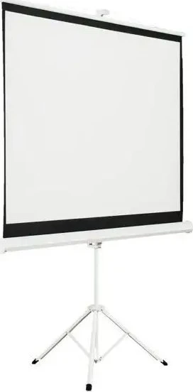 AVELI sieninis projektoriaus ekranas 152x152cm (1:1)