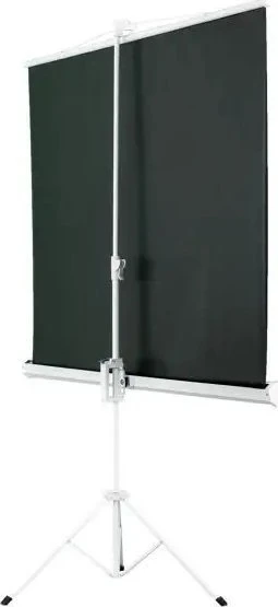 AVELI sieninis projektoriaus ekranas 152x152cm (1:1)