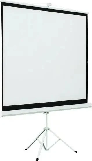 AVELI sieninis projektoriaus ekranas 152x152cm (1:1)