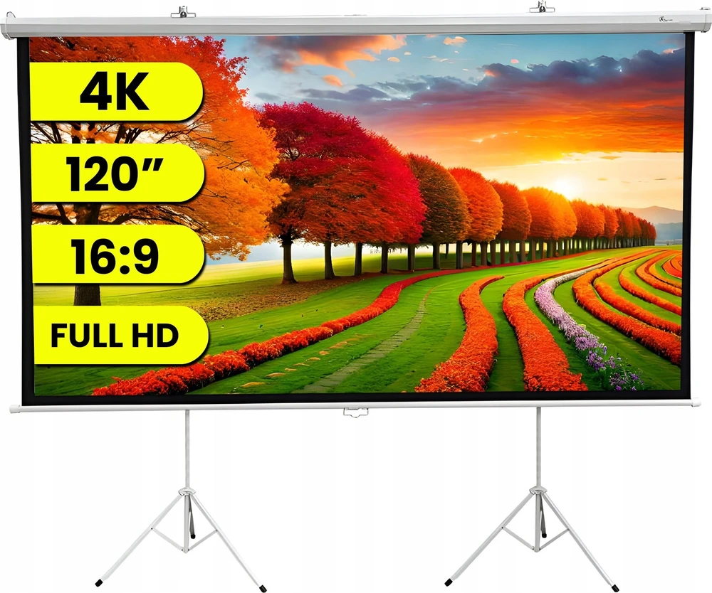 Projektorius Extralink Projektoriaus ekranas 120"