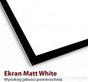 ART ER T84 1:1 ART rankinis Ekranas su stovu 1:1 118 213x213cm TS-84 1:1