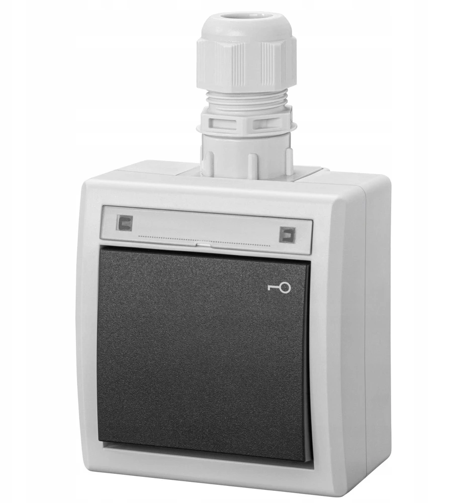 Elektro Plast Nasielsk 5007-65 AQUANT 2K ant paviršiaus montuojamas jungiklis, valdomas raktu, IP65, pilkas 5007-65