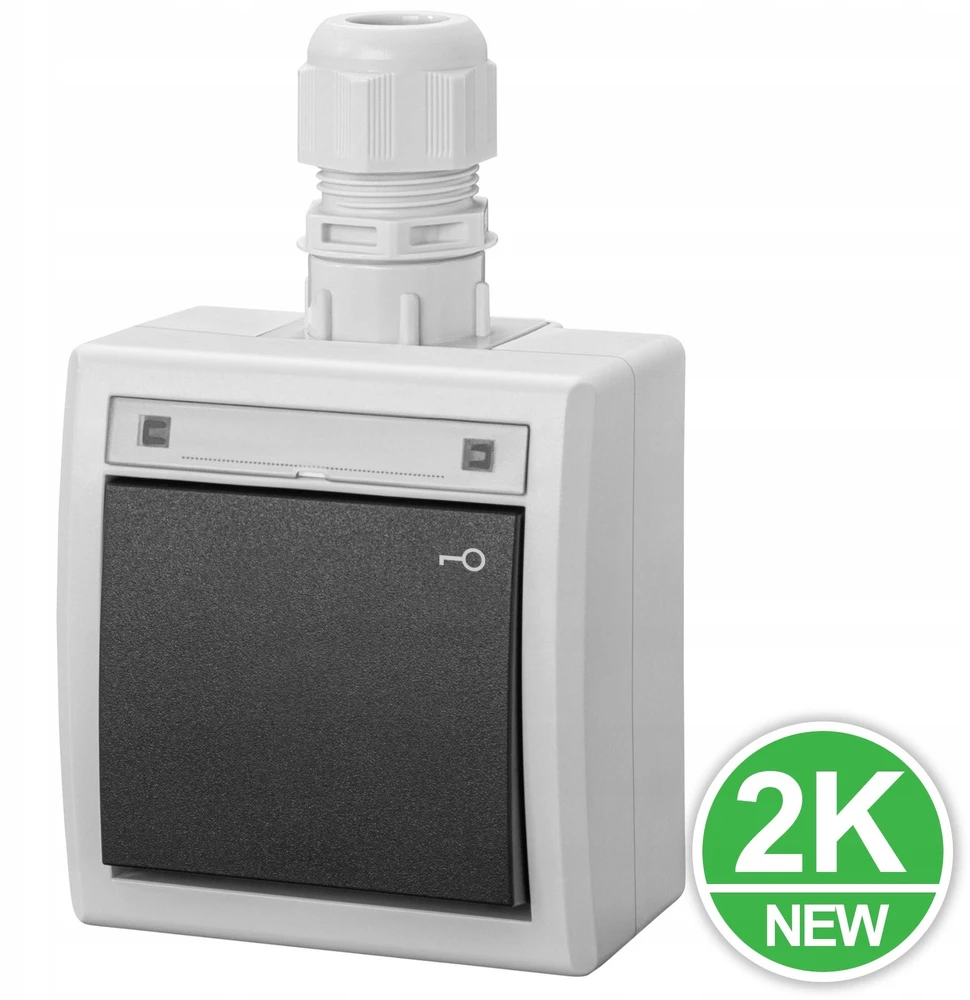 Elektro Plast Nasielsk 5007-65 AQUANT 2K ant paviršiaus montuojamas jungiklis, valdomas raktu, IP65, pilkas 5007-65