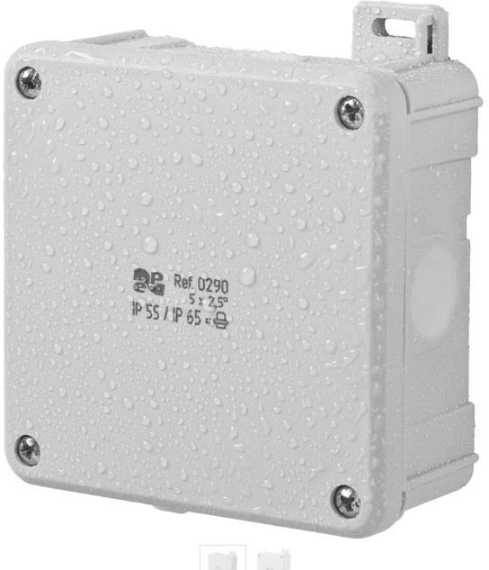 Elektro Plast Nasielsk N/T BOX IP55/65 GLANK 98X98X46 2K Pilkas