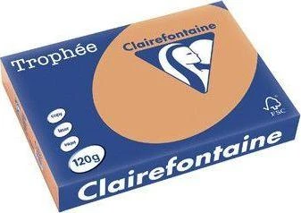 Trophee Papier ksero A4 80g oranžinė 500 arkuszy