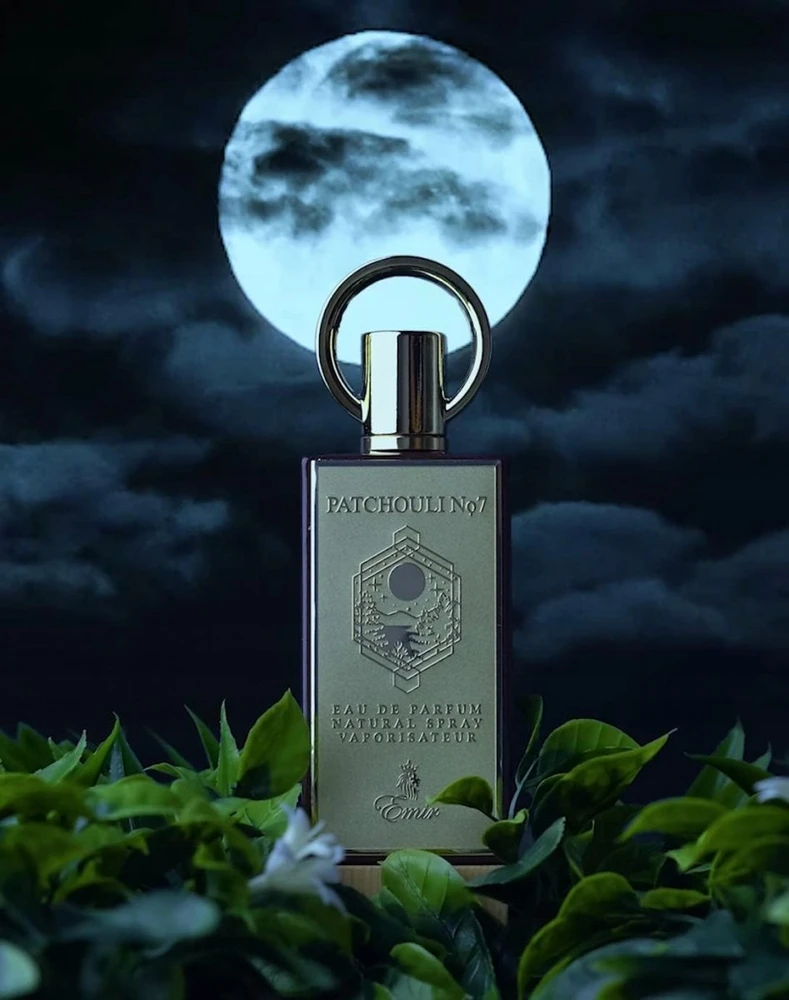 Emir Fascination EDP parfumuotas vanduo unisex, 100 ml