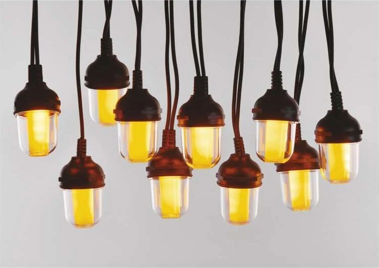 Emos Šventinė girlianda 10x 10 LED skaidrios 4,5 m vintage P44 DCPV01