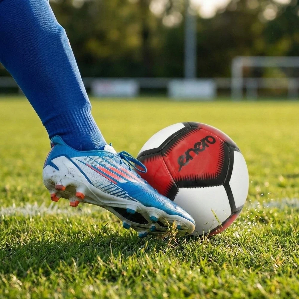 mažas futbolo kamuolys Enero 12 panelių