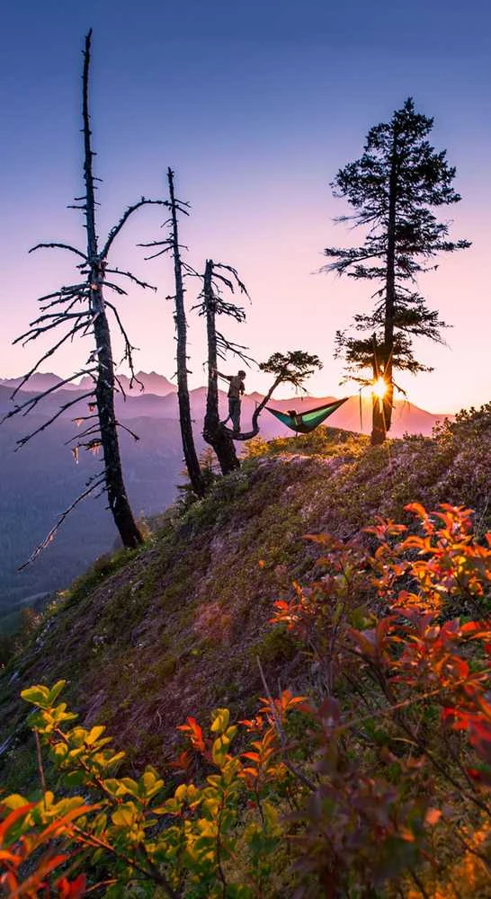 JAV Eno Single Nest khaki maroon viengulis hamakas