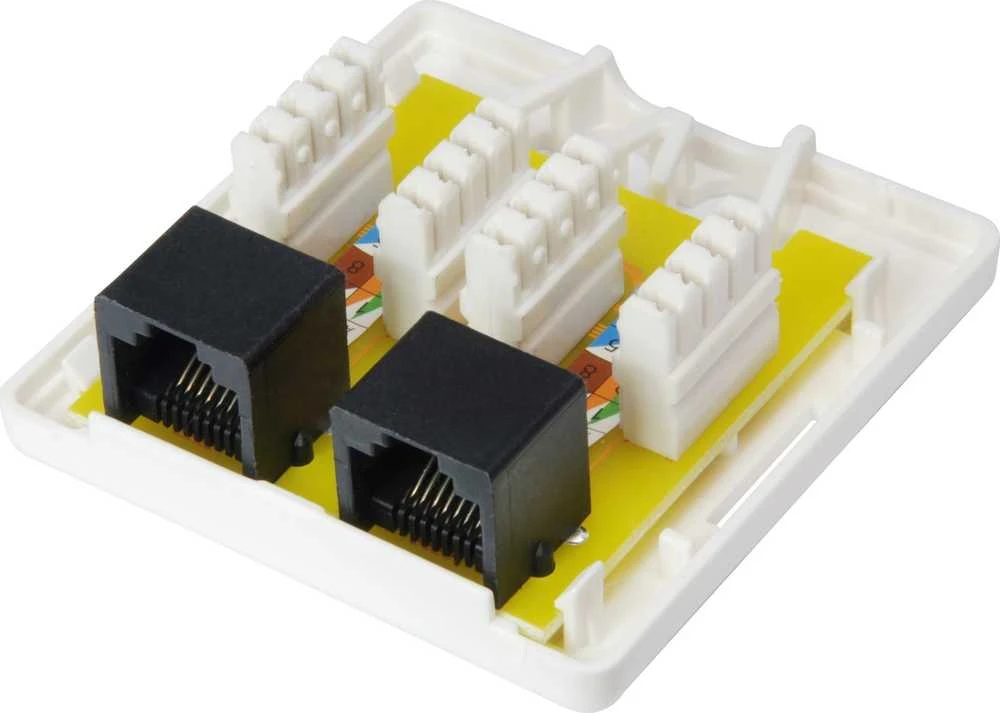 „Equip“ paviršinio montavimo lizdas Cat6 2 prievadų 2x RJ45 UTP RAL 9010, su polietileno maišeliu