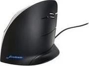 Equip Equip Pro - Panch- Cable - LC Multi- Mode (M) - LC Multi- Mode (M) - 15.0m - stiklo pluošto - 50 / 125 mikrometras - OM3 - be halogenų - turkis (255417)