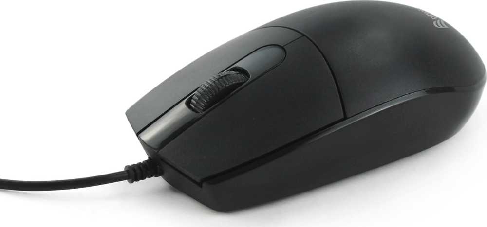 Pelė Equip Equip 245117 myszka Biuro Oburęczny USB Typu-A Optyczny 1200 DPI