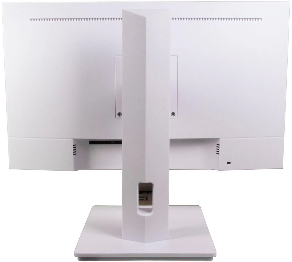 Monitorius Ernitec 0070-24124-F-W (0070-24124-F-W)