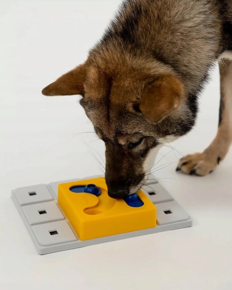 ESR Pawzler Kaya - atskiras modulis, lygis: 3 - reikalingas pagrindas Pawzler Base