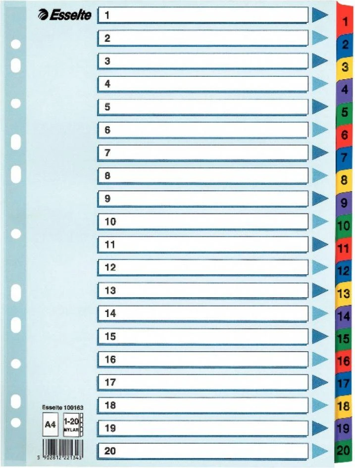 Kartoniniai spalvoti skiriamieji lapai ESSELTE, 1-20, A4